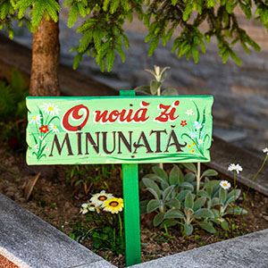postare instagram taverna cu vanat fundata